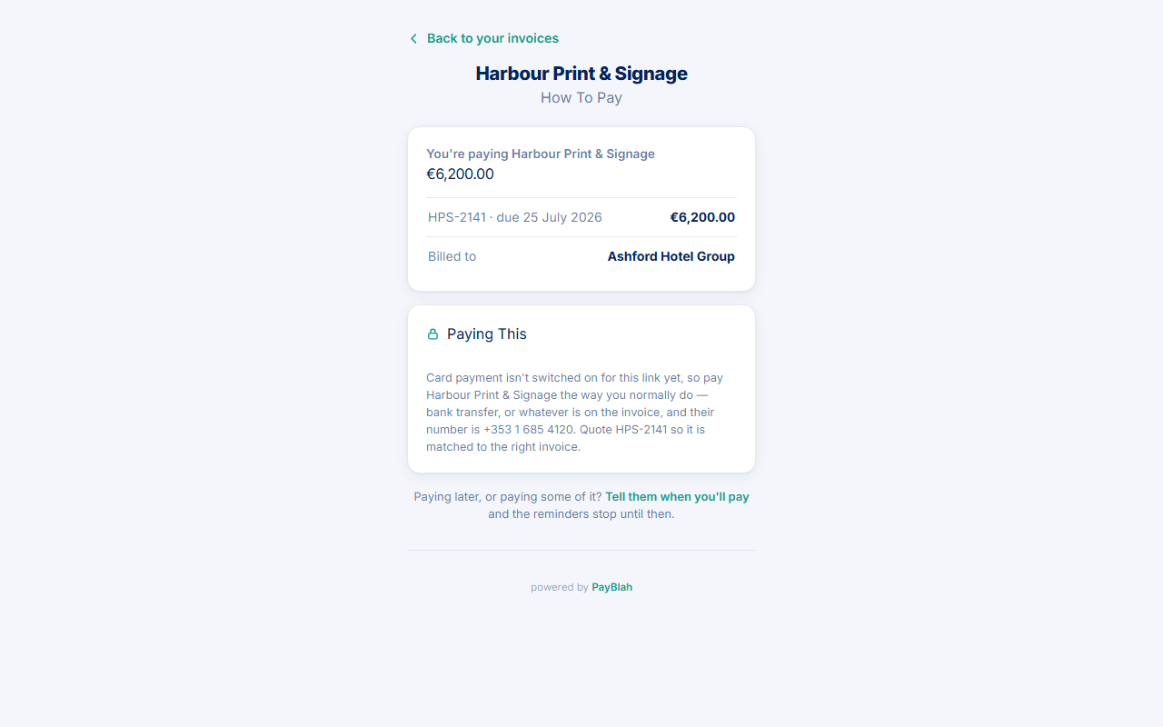 Portal How to pay screen with full amount and offline payment instructions